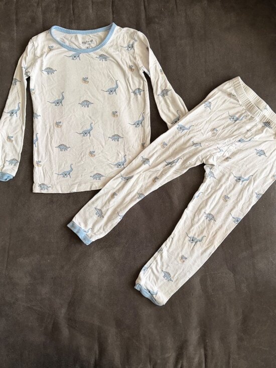 Kyte BABY Other - Kyte Baby 4T Dinosaur Print Pajama Set Bamboo Blend Long Sleeve Top & Pants Snug